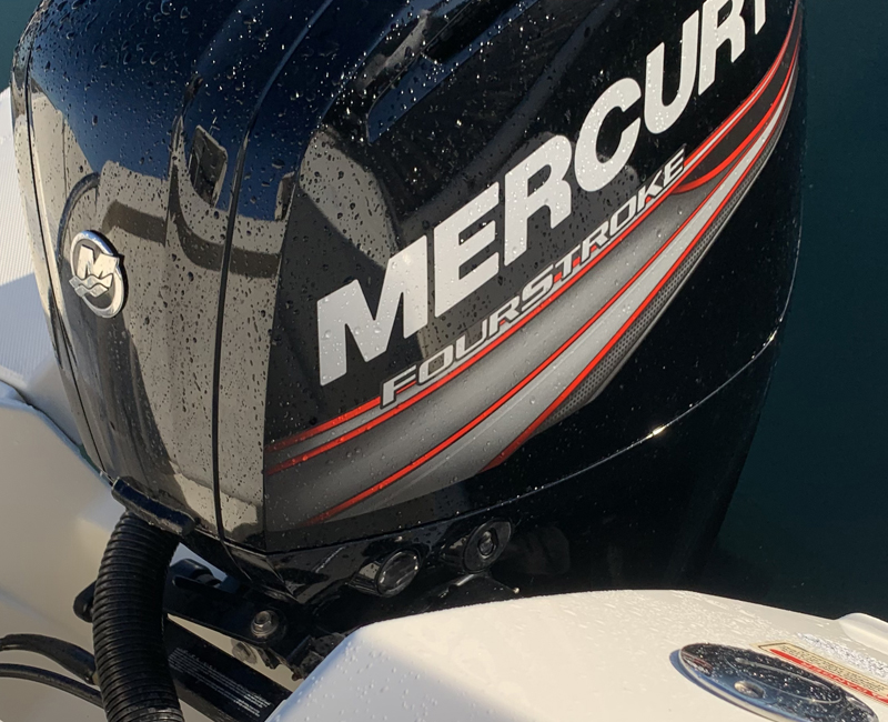 Hera Mercury Outboard
